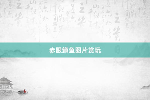 赤眼鳟鱼图片赏玩